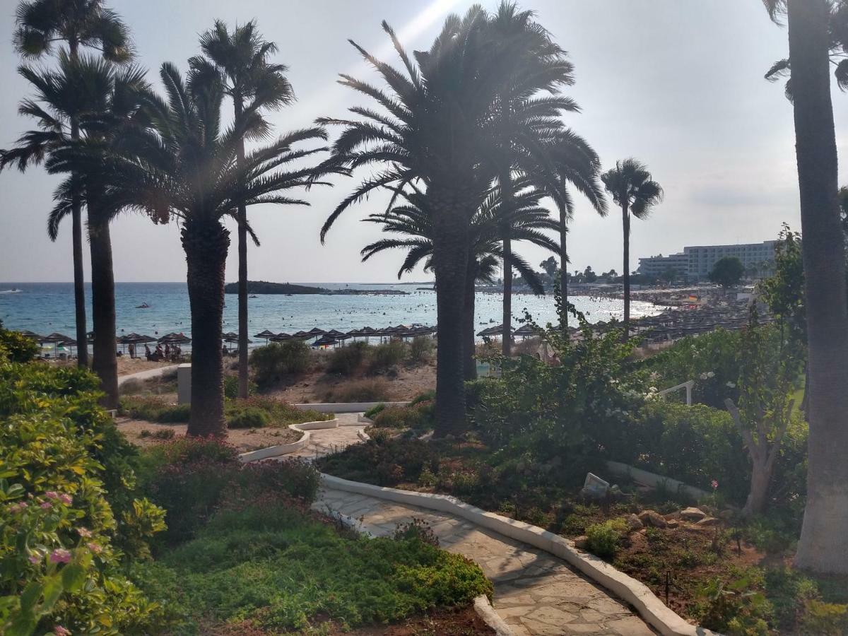 Nissi Golden Lovely One Bedroom With Spacious Terrace And Free Parking Lägenhet *