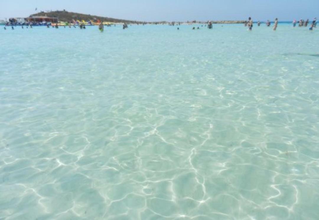 Nissi Golden Lovely One Bedroom With Spacious Terrace And Free Parking Lägenhet Ayia Napa